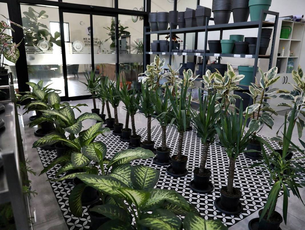 Etimesgut'ta çiçekler yeniden açıyor! Çiçek Hastanesi tam not aldı 15